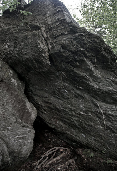 'Like Monkey Reflexes' (v5)