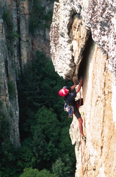 Readying the juggy crux roof pull on Dufty's Pop Off.  Seneca Rocks, WV