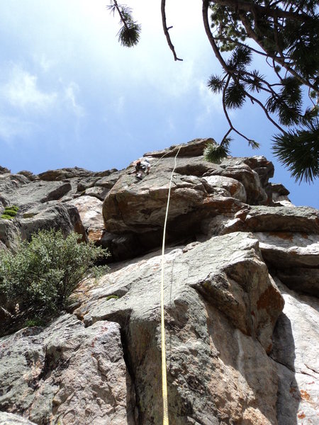 Doug on the fine upper face.