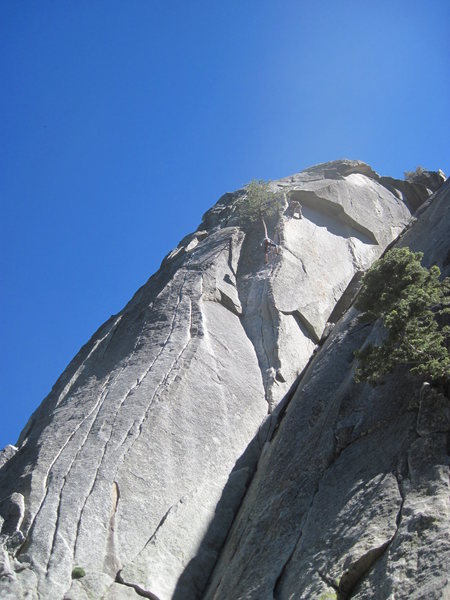 Big dihedral, just in the shade.