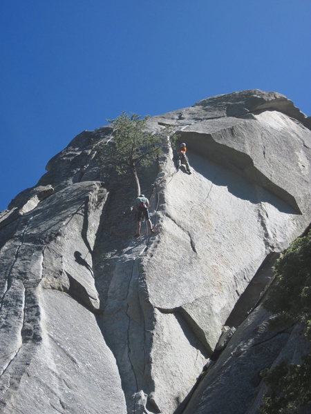 Tree belay.