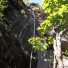 Bradley on First Ascent (photo by Ryan Barber).