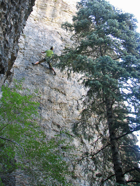 Jon Scoville looking for holds.<br>
<br>
Photo by Kip Henrie.