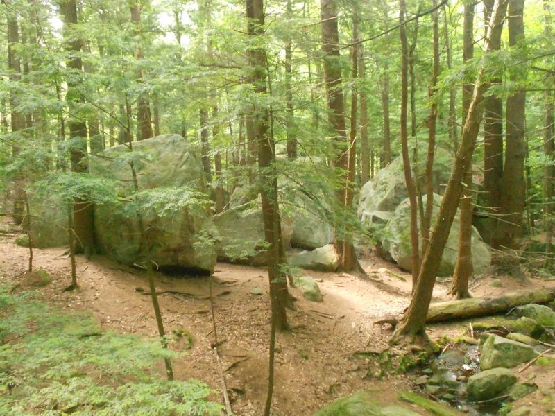 Looking into the Zoo from Streambed boulders