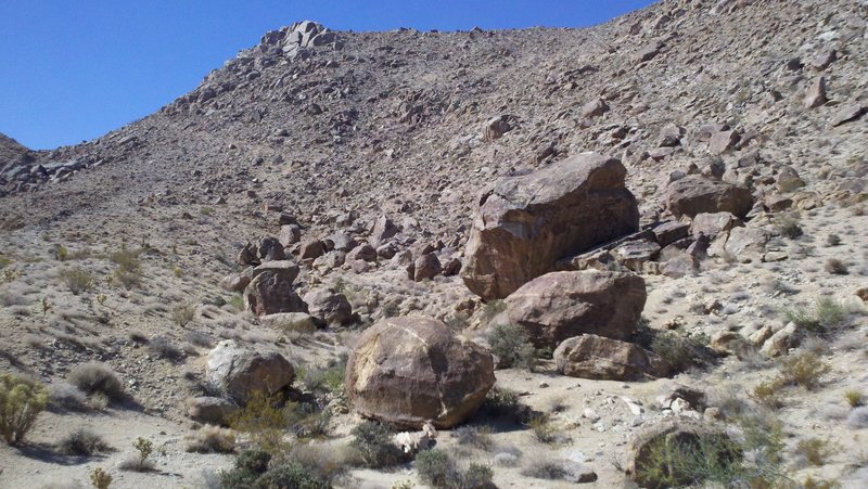 49 Palms Canyon Boulders (right side)