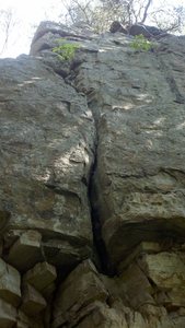 "Christmas Crack". Palisades Park, AL.