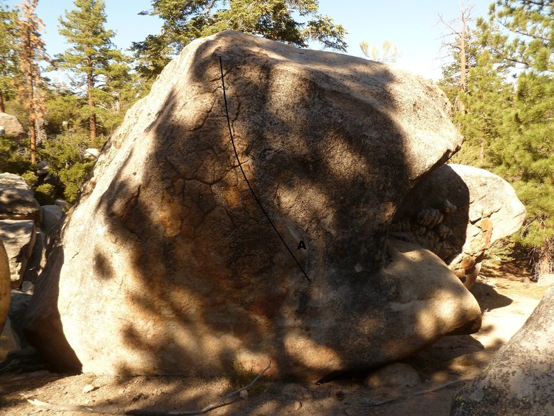 Tortoise Boulder