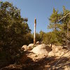 Broken stripped tree to the left of the boulder.