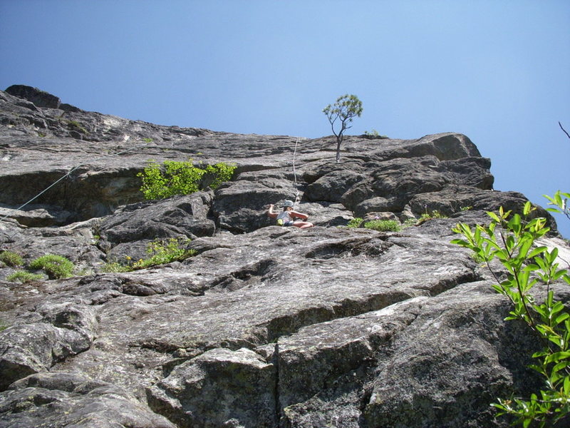 Looking up at the first pitch