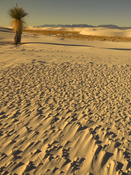 White Sand Nat'l Monument. New Mexico.