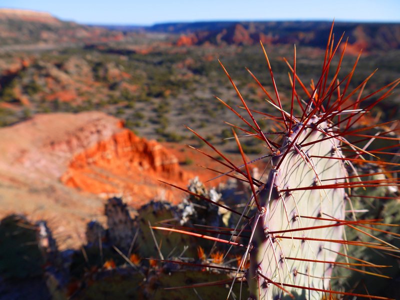 Palo Duro Canyon State Park, Texas