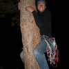 Dave on the topout tree of the Nose, 2010 (he's pretty sure he fell over right after this).