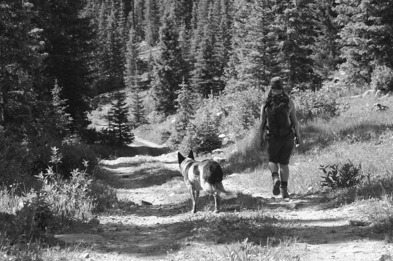 H & Ringo on the way down from Pagosa Peak.