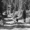 H & Ringo on the way down from Pagosa Peak.