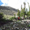 Scott, checking out the flowers before we got above the tree line.