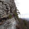 The Trapps, Gunks