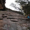 Nuke The Whales Wall<br>
<br>
Bob Kienzle cleans<br>
Whale Of A Tale(5.5) trad<br>
<br>
Crowders Mountain State Park, North Carolina