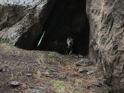 Toofast taking shelter from the rain