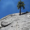 Setting up a TR anchor for Unnamed 5.9 sport route near the tree Route @ Dome Rock  