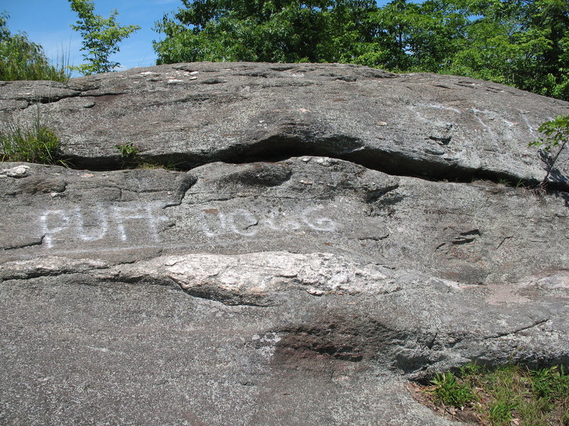 Top of cliff N of Leatherman's Cave