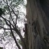 Eric Coffman near the anchors onsighting "pork barrel" 5.10a