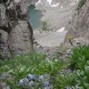 Columbines on July 29, 2012. Sky Pond below.