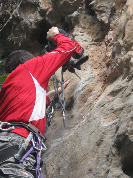 The virgin bees tag along on the first ascent of Have Machete Will Travel (5.10-).