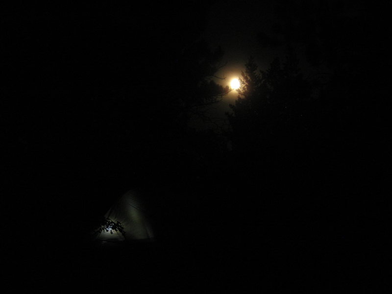 Backcountry camping on FS land near Sugarloaf Mountain.