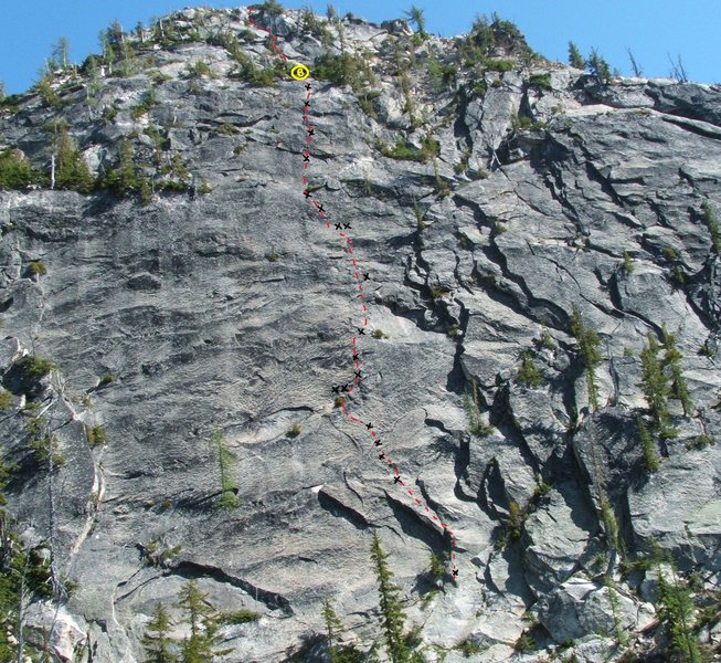 Spontaneous Distraction.