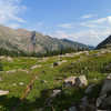 View back toward the trailhead.