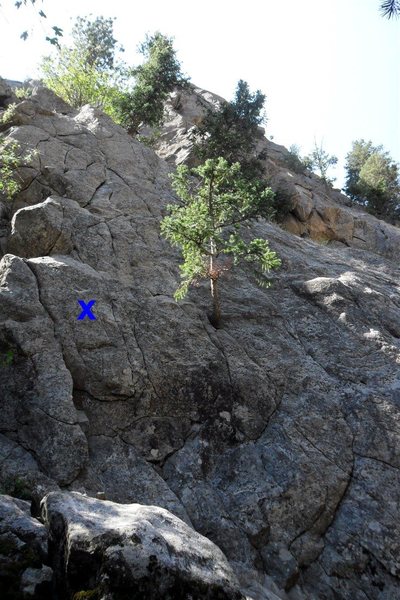 First bolt of "Just Do It" marked with the blue X left of the small pine.