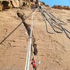 Looking for Bighorns across canyon while belaying my boyfriend on a hot summer day. 