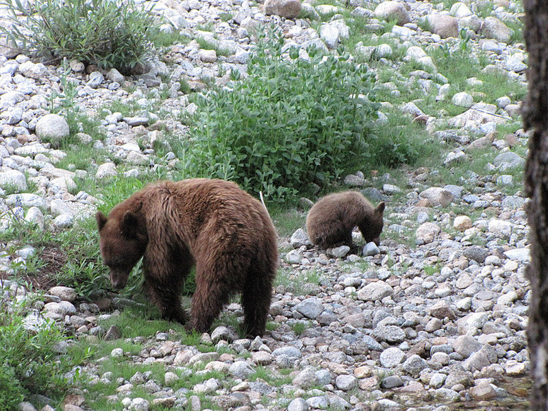 Keep an eye out for valley locals on the approach.