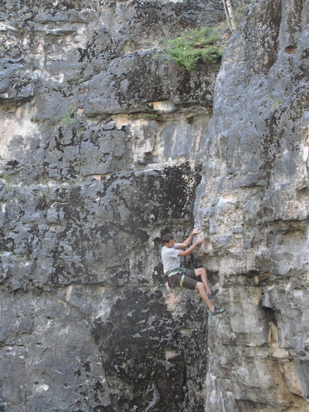 chris topping out.