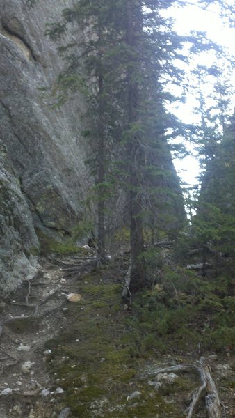 Looking toward route from main trail