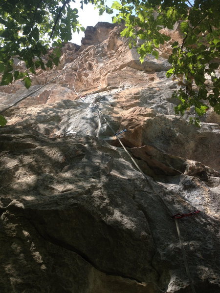 Borat at the Funny Face, Rifle Mountain Park.