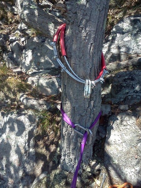 New rappel anchor replacing the sling salad that was at the top of Surprise.  Common rap station for the Land of The Giants wall. 35m to the ground, so use a 70m or make a stop at the next rappel tree.