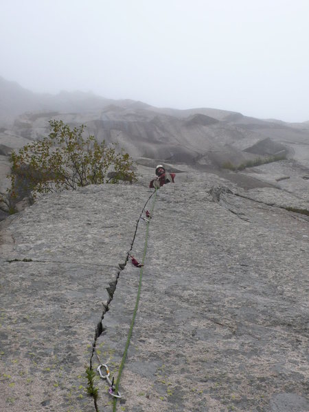 A nice trip on a misty morning 