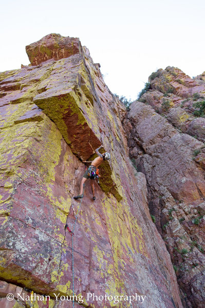 Underside of the same attempt by Anthony.  