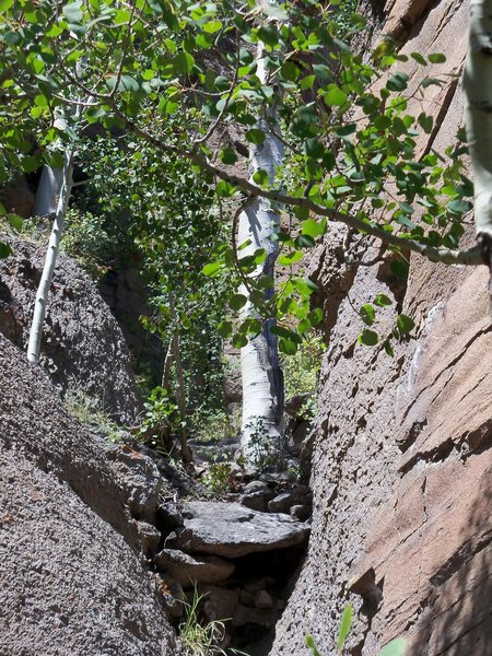 The start of the chute from the trail