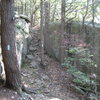 Hiking south from Rt. 6, the Metacomet trail goes over the crag. Descend right at this point for crag base.