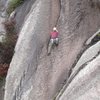 A climber on P2 of Trail of Tears Memorial
<br>
Photo by Tom Bowker