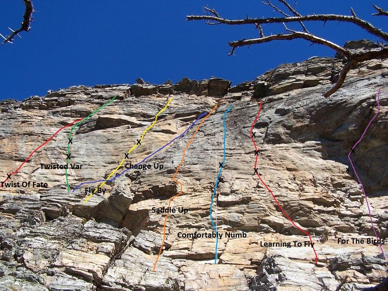 Seasonal bird closure area topo.  This is a good cooler weather area. Also, these routes are longer than they appear in this pic and are easily accessed from top via a 200' rap from a pine with slings.  The rap in goes directly over "Learning To Fly".