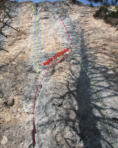 Right El Shinto Topo.  Center El Shinto is in Yellow, WFC is in Green.