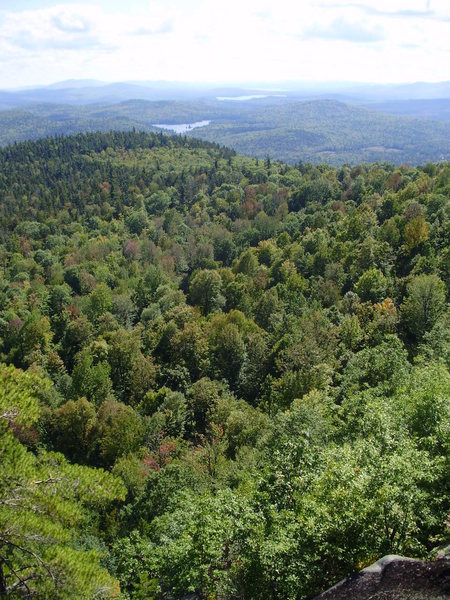 View to the south from White Ledge over ponds and lakes