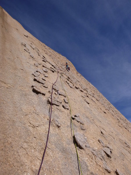 Marcy on Pitch 2