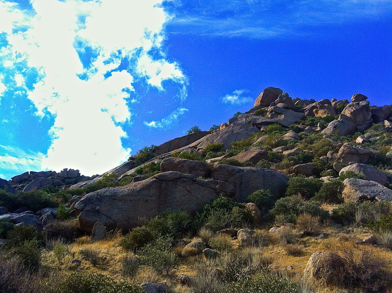 The short face  half way up the hill to the left of the obvious finger crack as seen from the wash.