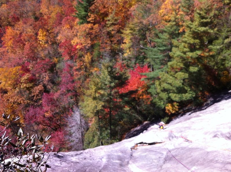 Fall colors on P1 of Groover, Laurel Knob, NC