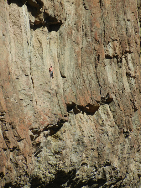 Unknown guy on the upper part of "Cro-Magnon".