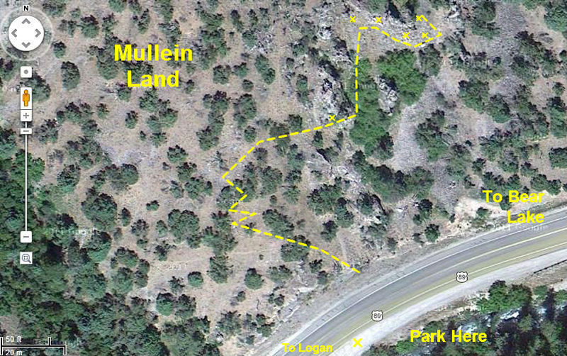 Google Earth view of Mullein Land parking and approach